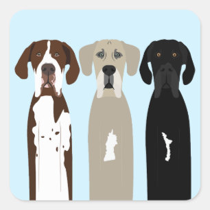 Adesivo Quadrado Grandes cães de rua