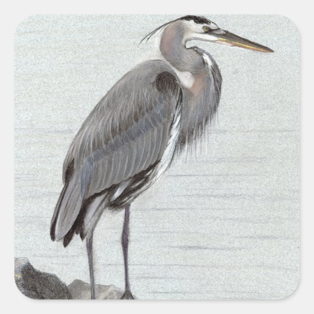 Adesivo Quadrado Great Blue Heron (Frente)