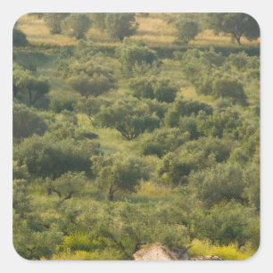 Adesivo Quadrado GRÉCIA, Ilhas Jônicas, KEFALONIA, Havriata: