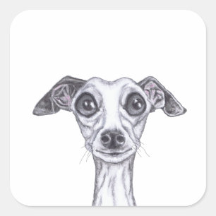 ADESIVO QUADRADO GREYHOUND GREYHOUND GR869