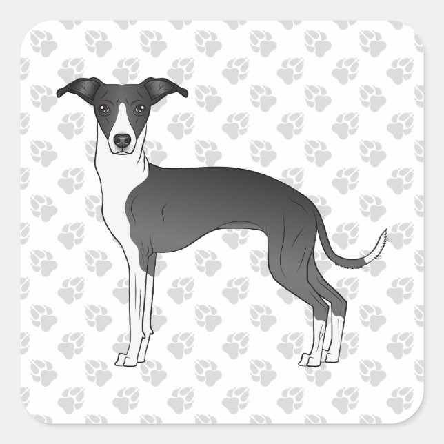 Adesivo Quadrado Greyhound Italiano Negro E Branco Com Patas (Frente)