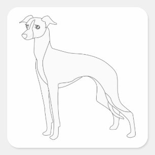 Adesivo Quadrado Greyhound italiano pronto para cores