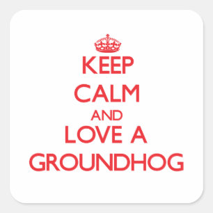 Adesivo Quadrado Groundhog