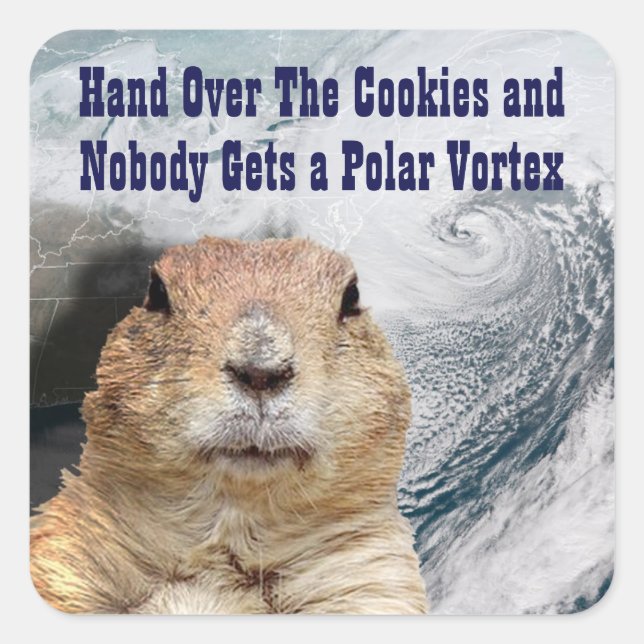 Adesivo Quadrado Groundhog Day Polar Vortex (Frente)
