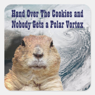 Adesivo Quadrado Groundhog Day Polar Vortex