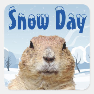 Adesivo Quadrado Groundhog Snow Day