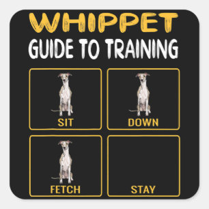 Adesivo Quadrado Guia De Whippet Para Treinar Obediência De Cães