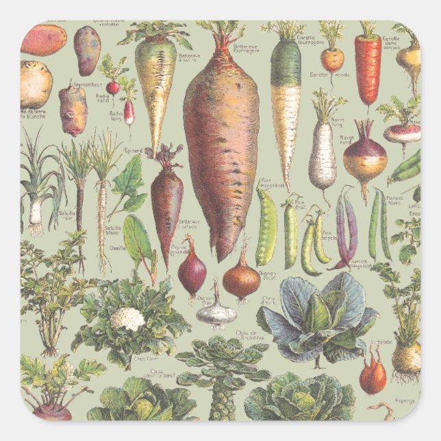 Adesivo Quadrado Guia Francês Para O Jardim (Frente)