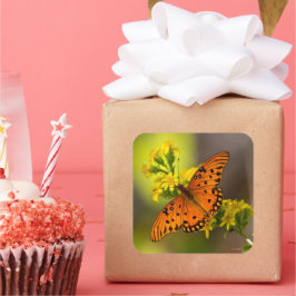 Adesivo Quadrado Gulf Fritillary aka Passion Butterfly on Goldenrod