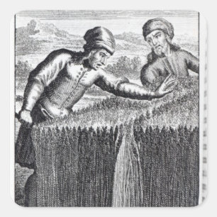 Adesivo Quadrado Gulliver é descoberto por um agricultor em