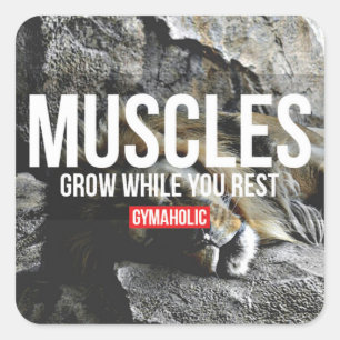 Adesivo Quadrado Gym Malhação Motivativo