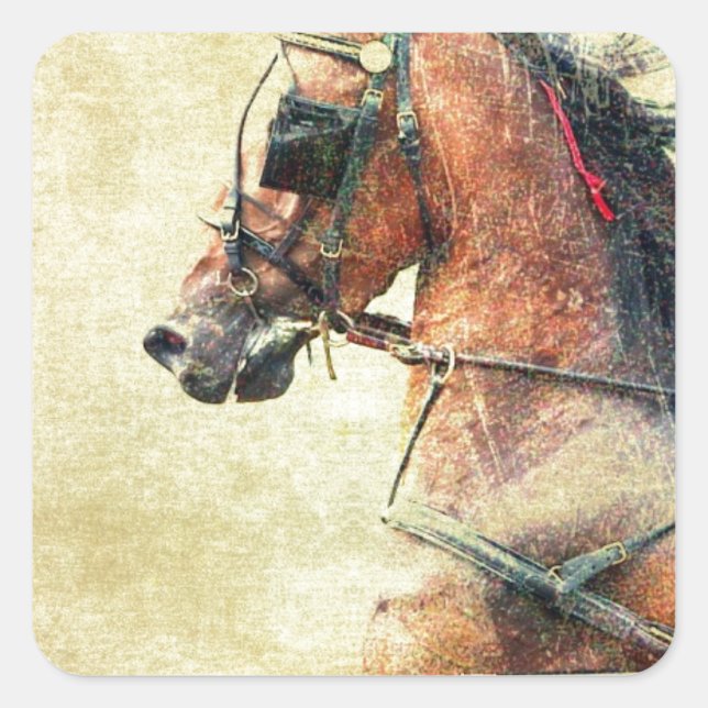 Adesivo Quadrado Hackney Pony (Frente)