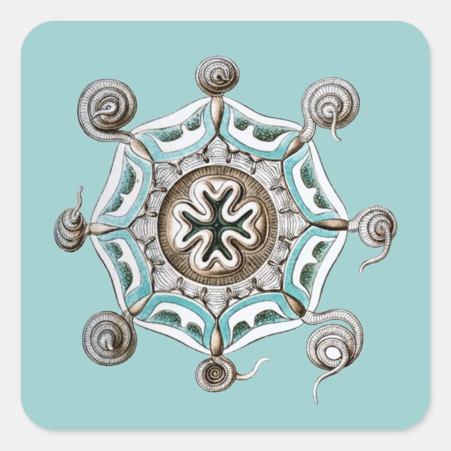 Adesivo Quadrado Haeckel (Frente)