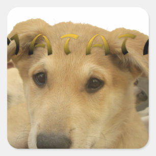 Adesivo Quadrado Hakuna Matata Eu sei o que você está pensando