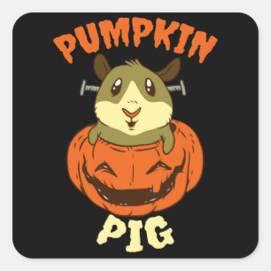 Adesivo Quadrado Halloween Guiné Pig Pumpkin
