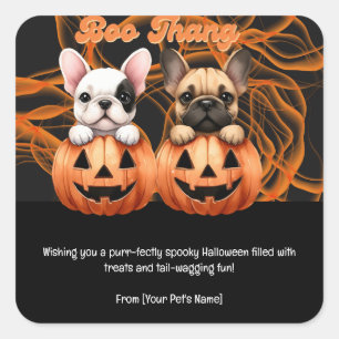 Adesivo Quadrado Halloween Pet em fantasias assustadoras