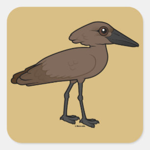 Adesivo Quadrado Hamerkop