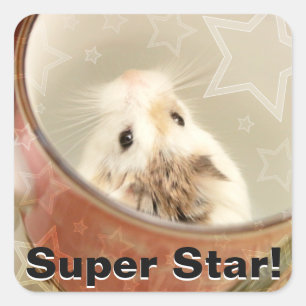 Adesivo Quadrado Hammyville - Hamster Bonito