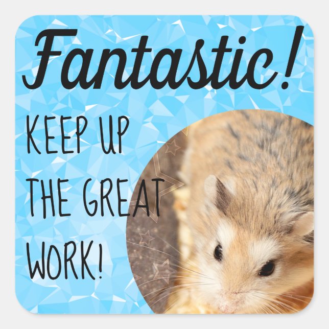 Adesivo Quadrado HammyVille - Trabalho de Excelente Fantástico de H (Frente)