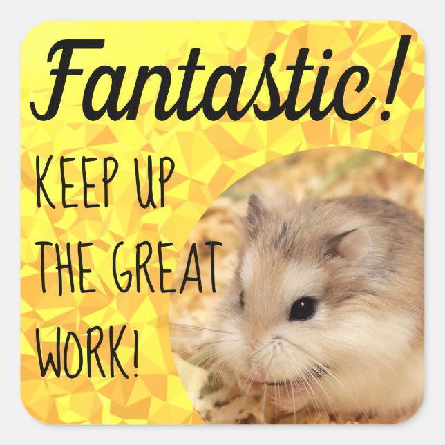 Adesivo Quadrado HammyVille - Trabalho de Excelente Fantástico de H (Frente)