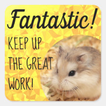 HammyVille - Trabalho de Excelente Fantástico de H