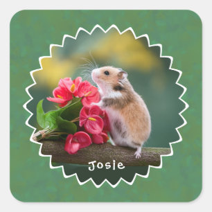 Adesivo Quadrado Hamster Adorável com Buquê de Arthurium Vermelho