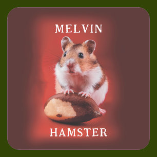 Adesivo Quadrado Hamster com noz do Brasil
