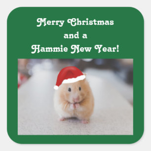 Adesivo Quadrado Hamster do Natal
