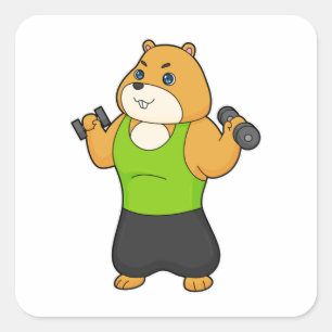 Adesivo Quadrado Hamster Malhação Dumbbell