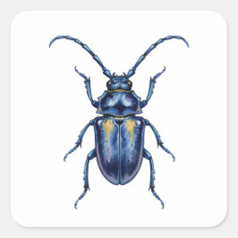 Adesivo Quadrado Hanneton