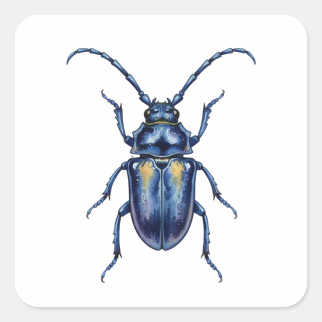 Adesivo Quadrado Hanneton (Frente)