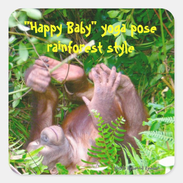 Adesivo Quadrado Happy Baby RainForest Yoga (Frente)