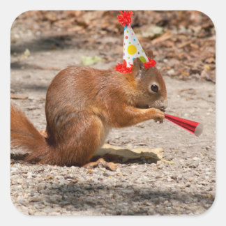 Adesivo Quadrado Happy Birthday Squirrel