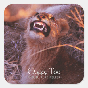 Adesivo Quadrado Happy Tau