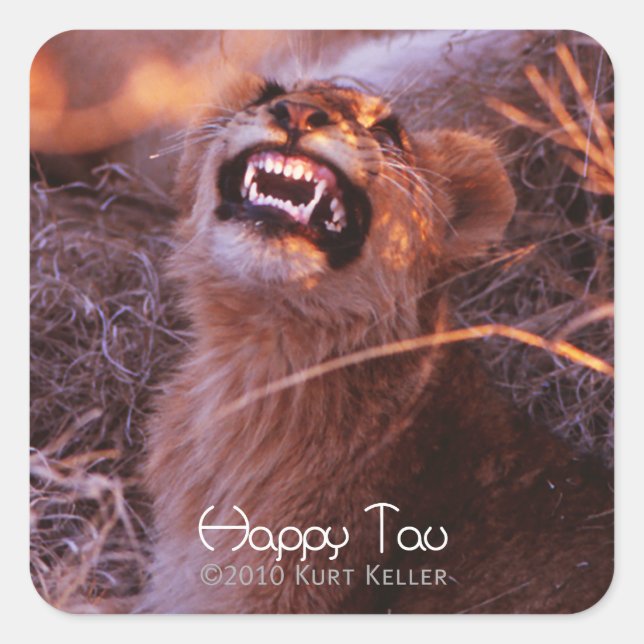Adesivo Quadrado Happy Tau (Frente)