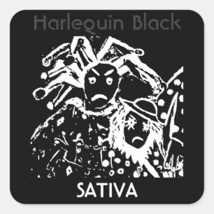 Adesivo Quadrado Harlequin Black Sativa