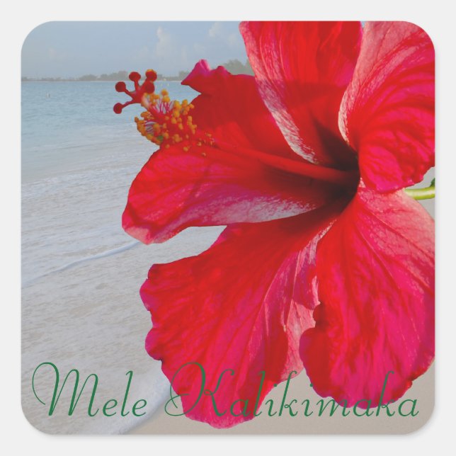 Adesivo Quadrado Hawaii Mele Kalikimaka Feliz Natal (Frente)