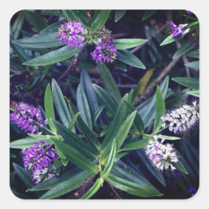 Adesivo Quadrado Hebe Mauve Fingers Stickers