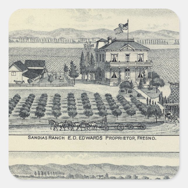 Adesivo Quadrado Hedge Row Vineyard, Fresno (Frente)