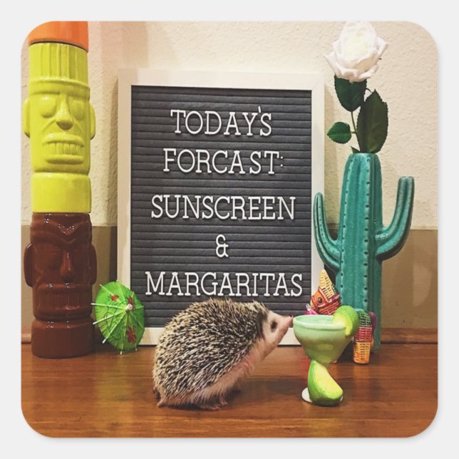 Adesivo Quadrado Hedgehog Sunscreen e Margaritas (Frente)