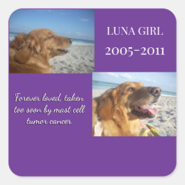 Adesivo Quadrado Held Close, Never Forgotten