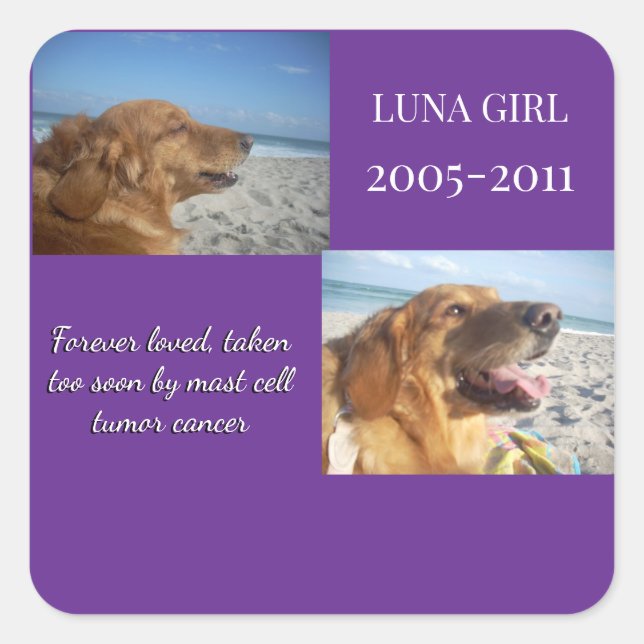 Adesivo Quadrado Held Close, Never Forgotten (Frente)