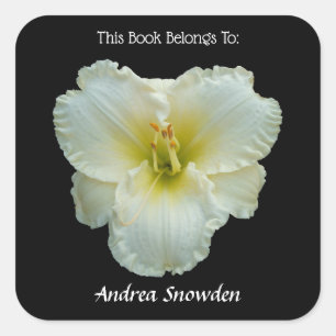Adesivo Quadrado "Hemerocallis branco do Snowbird grande" no