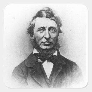 Adesivo Quadrado Henry Thoreau