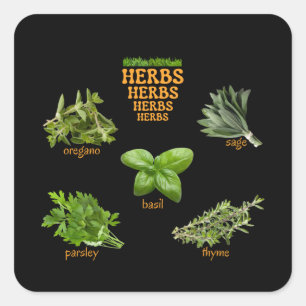 Adesivo Quadrado Herbs Stickers Orégano Basil Thyme