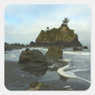Adesivo Quadrado Hidden Beach II no Parque Nacional de Redwood