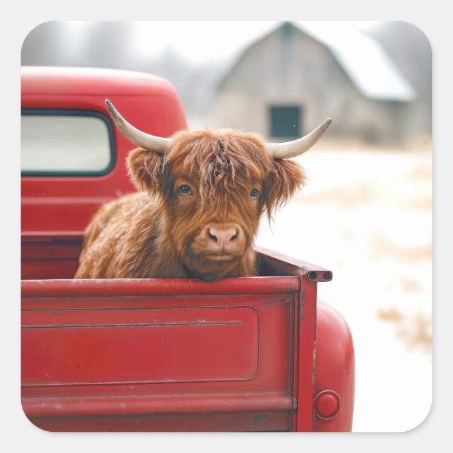 Adesivo Quadrado Highland Cow In a Red Retro Pickup Truck (Frente)