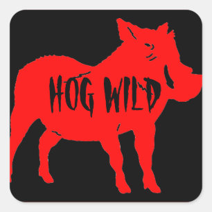 ADESIVO QUADRADO HOG WILD HELMET STICKERS PKG DE 20
