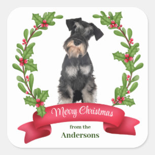 Adesivo Quadrado Holly Banner Miniature Schnauzer Dog Natal
