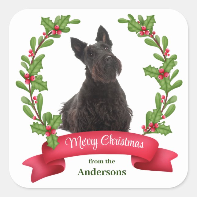 Adesivo Quadrado Holly Banner Scottish Terrier Dog Natal (Frente)